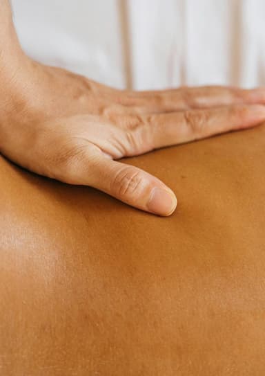 Wellness therapy